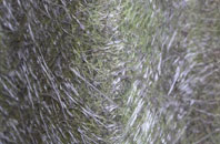 Great Stainton fibreglass roof work